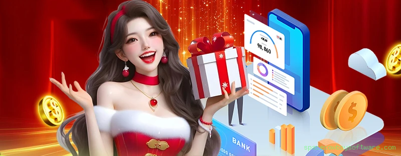 spacecowboysoftware.com Paga